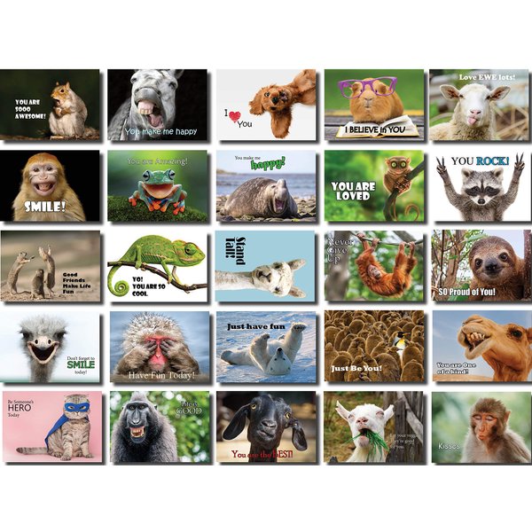 Oospecka Lunch Box Note Cards Motivational and Inspirational Funny Animal Note Cards for kids