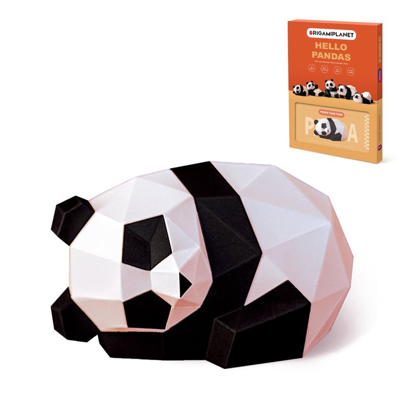ORIGAMIPLANET 3D Panda Tuan Tuan Origami Paper Craft Kit, Fun DIY Pre ...