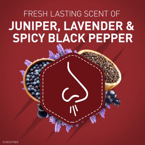 Old Spice Aluminum Free Deodorant for Men, ElkLord, 48 Hr. Protection, 3 oz, 3 pack