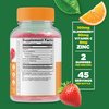 Lifeable Immune Support for Adults Gummies - with Elderberry, Vitamin C and Zinc - Great Tasting Natural Flavor Gummy Supplement - Gluten Free Vegetarian GMO-Free Chewable Vitamins - 90 Gummies