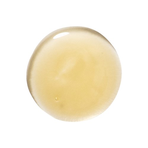 Klorane Nourishing Shampoo with Mango Butter, Moisturize and Hydrate Dry Hair, Paraben, Silicone, SLS Free, 13.5 Fl Oz, 3282770106404