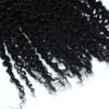 Luwigs Afro Kinky Curly 3B 3C Clip in Hair Extensions for Black Women Real Brazilian Virgin Human Hair Clip Ins Natural Color 7pcs/set (14 inches, 3B 3C Afro Kinky Curly)