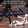 oyeftp Titan 13 Action Figure, Action Figures,Titan 13 Action Figure 3D Printed Robot Multi-Jointed Movable,Desktop Decorations for Game Lovers（Black）