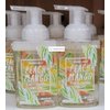 Trader Joe's Peach Mango Scented Foaming Hand Soap 8fl oz 236ml (Two Bottles)