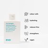 EVO The Therapist Hydrating Shampoo - Hydrates, Strengthen and Softens Whilst Improving Shine - Protects Colour Treated Hair, Helps to Detangle - 300ml / 10.1fl.oz