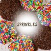 Birthday Snack | Cup Cakes | Snack Cakes | Birthday Cakes | Dairy & Nut Free | 12 Mini Cupcakes Per Pack | 10 oz – Stern’s Bakery (12 Pack)