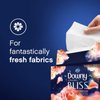 Downy Infusions Fabric Softener Dryer Sheets, Bliss, Sparkling Amber & Rose, 105 Sheets (Pack of 1)