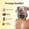 Sulfate Free Shampoo for Oily Hair - Lemon Sage Clarifying Shampoo for Build Up and Oily Scalp Care with Rosemary Essential Oil - Deep Cleansing Rosemary Shampoo for Greasy Hair and Product Build Up