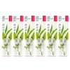 RADIUS Toothbrush Replacement Brush Heads 2-Count Improve Gum Health & Reduce Gum Issues - Super Soft - Pack of 6
