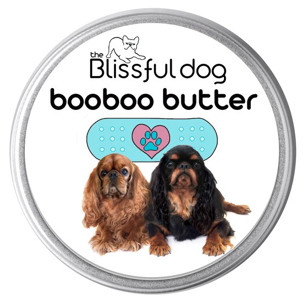 English Toy Spaniel Boo Boo Butter, 2-Ounce