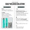 Malibu C Scalp Wellness Collection - Soothing Shampoo and Conditioner Hair Care Set for Dry Scalp - Formulated with Vitamin C Antioxidant Complex - Travel Size Scalp Remedy Packets Included (33.8 oz)
