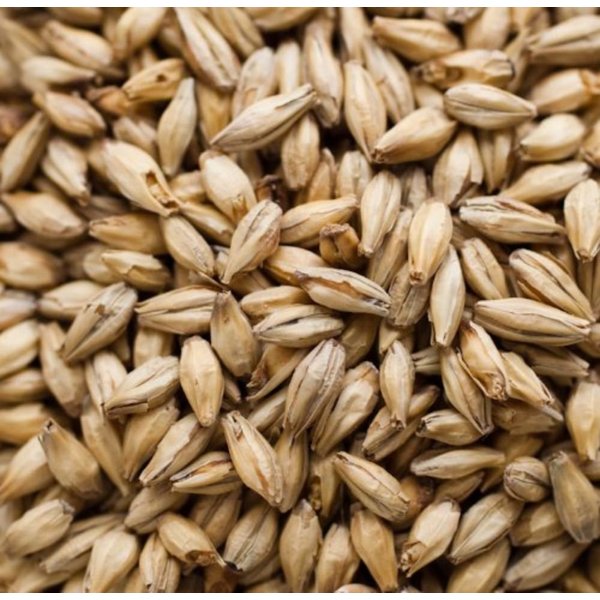 Weyermann Light Munich Home Brewing Malt Whole Grain 1lb Bag