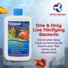Dr.Tim’s Aquatics Freshwater One & Only Nitrifying Bacteria – For New Fish Tanks, Aquariums, Water Filtering, Disease Treatment – Eco-Friendly Fish Tank Cleaner – Removes Toxins – Treats 30 Gallons