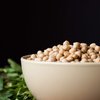 Organic Garbanzo Beans, 1 Pound – Dried Chickpeas, Non-GMO, Kosher, Raw, Sproutable, Bulk