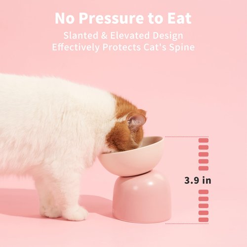 MS!MAKE SURE Elevated Cat Bowl, Ceramic Tilted Cat Food Bowl, Anti Vomit & Whisker Fatigue Cat Bowls for Food and Water (Green)