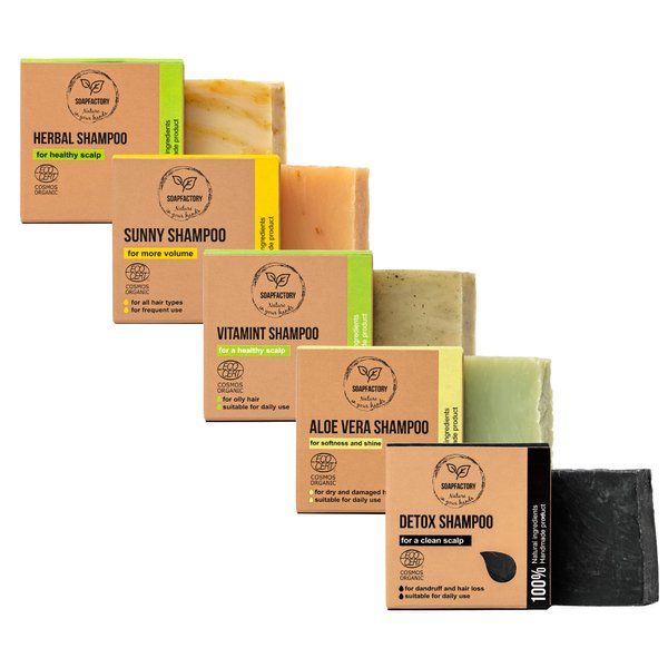 SoapFactory Organic Shampoo Bar Set for Men and Women, 100% Natural, Variety Pack of Hair Soaps with Charcoal, Lemongrass, Aloe Vera, Tea Tree and Rosemary, Vegan (5 Pack)
