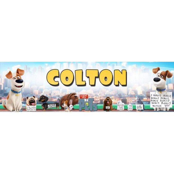 The-Secret-Life-of-Pets - 8.5"x30" Personalized Name Poster, Customize With Your Child's Name, Birthday Party Banner