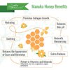 Wild Naturals Manuka Honey Relief Cream with Aloe Vera for Eczema - Manuka Honey Cream for Dry Skin and Redness - Face, Hand & Body Moisturizer for Sensitive Skin - Manuka Honey Face Cream & Lotion