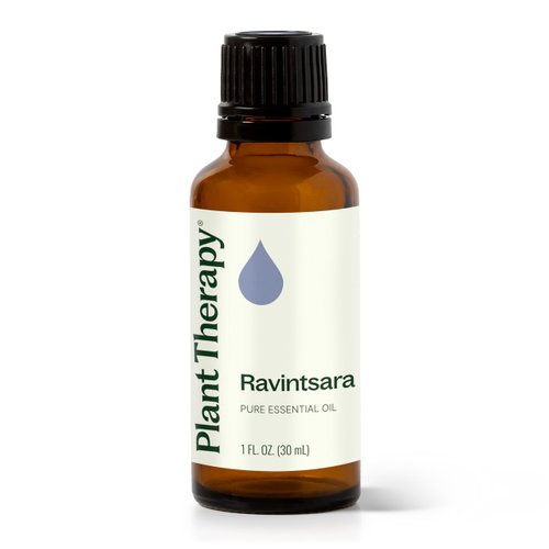 Plant Therapy Ravintsara Essential Oil 30 mL (1 oz) 100% Pure, Undiluted, Therapeutic Grade
