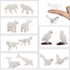 EOIVSH 18PCS Arctic Animal Figures, Realistic Polar Animal Toys Figurines for Kids Toddlers, Plastic Ocean Sea Animal Figures with Arctic Fox Wolf Snowy Owl Polar Bear Reindeer Bluga Whale