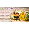 Cocojojo Jojoba Oil Organic, Jojoba Oil for Hair Growth, Jojoba Oil for Skin, Jojoba Oil for Face, 100% Pure Natural, Cold Pressed, Deep Moisturizing Anti-Aging, Essential Oils - 16 Fl Oz