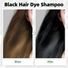 Black Hair Dye Shampoo 3 in 1 champu para canas for Gray Hair Coverage Hair Color Shampoo for Women and Men Instant Herbal Ingredients Long Lasting 500ML
