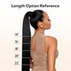 HOTBANANA Ponytail Extension, 14 Inch Ponytail Extension Human Hair Clip in Wrap Around Ponytail Hair Piece Walnut Brown to Ash Brown and Bleach Blonde Long Straight Remy Human Hair Extension 75g