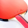 Palio Master 3.0 Table Tennis Racket & Case - ITTF Approved Intermediate Ping Pong Bat