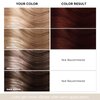Luxecolors Depositing Hair Dye Conditioner, Semi Permanent Reflesh Hair Color Conditioner, Non-foaming Hair Coloring, Cruelty-free 5.28 fl.oz, Merlot