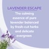 Citrus Magic Odor Absorbing Solid Air Freshener, Lavender Escape, 8-Ounce, 8 Ounce (Pack of 3), 3 Count