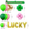 St. Patrick's Day Balloon Garland Arch Kit LUCKY Foil Balloons Pink leaf clover foil balloon for St. Patrick's Day Party Decorations Irish Birthday Party Supplies