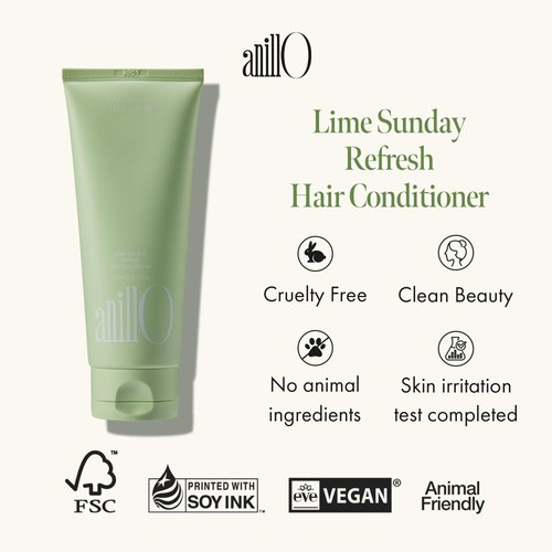 ANILLO Lime Sunday Refresh Hair Conditioner 150ml / 5.07 fl. Oz, Daily Vegan Hair Care with Green Tangerine Extract, Protein Complex, Ceramide for Oily Scalp, Paraben Free