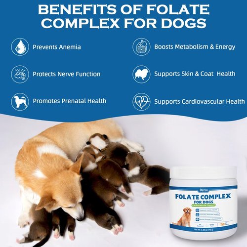 Folic Acid for Dogs - Dog Prenatal Vitamins with B12, Zinc, Biotin & Iron - Supports DNA Synthesis, Cardiovascular & Fetal Development - for Pregnant Dogs, Puppies -150 Soft Chews