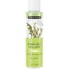 Freeman Exotic Blends Deep Cleansing English Willow Toner, Removes Makeup, Dirt, & Impurities, Clarifying Facial Toner, Pore-Minimizing, Hydrating Skincare Essential, 6.1 fl.oz./180 mL Bottle