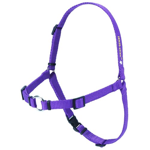 Softouch Sense-ation No-Pull Dog Harness (Purple, Extra Small)