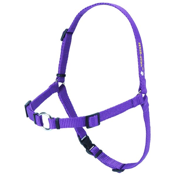 Softouch Sense-ation No-Pull Dog Harness (Purple, Extra Small)