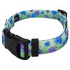 Country Brook Petz - Deluxe Blue April Blossoms Dog Collar - Made in The U.S.A. - Spring Collection Featuring Springtime Designs (1/2 Inch, Extra Small)
