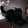 Sosation 16 Inch Black Cat Stuffed Animal Plush, Realistic Black Cat Soft Plush Pillow, Cute Plush Toy Gifts for Kids, Birthday Decoration Supplies