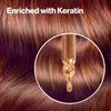 Revlon Colorsilk Beautiful Color, Permanent Hair Dye with Keratin, 100% Gray Coverage, Ammonia Free, 12 Dark Mahogany Brown (Pack of 3)