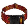 Country Brook Petz - Deluxe Fire Paisley Dog Collar - Paisley Collection with 5 Classy Designs (1 1/2 Inch, Large)