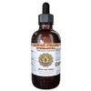 Hawaii Pharm Schisandra Liquid Extract, Organic Schisandra (Schisandra Chinensis) Tincture, Herbal Supplement, Made in USA, 4 fl.oz