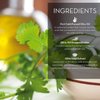 Fruits & Passion] Cucina Lime Zest and Cypress Luxury Hand Cream, 5 Fl Oz - Premium Skin Care Made from First Cold Pressed Olive Oil - Regenerating Hand Lotion for Dry, Cracked Skin