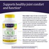 Healthy Origins UC-II, 40 mg - Premium Collagen Supplement for Joint Health, Mobility & Flexibility - Undenatured Type II Collagen - Gluten-Free & Non-GMO Supplement - 120 Veggie Caps