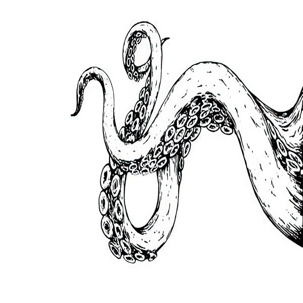 Dopetattoo 6 Sheets Temporary Tattoo Octopus Tentacles Fake tattoos Hand Tattoo design for Man Woman Adults teens