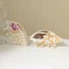 Sea Conch Hair Clip,Acetate Claw Clips,Hair Clips for Women,Green