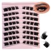 Fluffy Cat Eye Lash Clusters 12-20MM Thick Cluster Eyelashes Extensions D Curl Wispy Individual Lashes 64 PCS DIY Cluster False Eyelashes at Home, by Anforlin