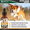 Velflix Allergy Immune Anti Itch & Hot Spots - Made in USA Natural Pet Supplement for Cat & Dog Allergy Relief with Turmeric & Milk Thistle -Seasonal Allergies Digestive Treatment for Dogs & Cats