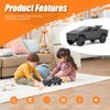 Cybertruck Camper Toy,1:24 Zinc Alloy Pull Back Toy Car Camping RV with Sound and Light,Display Model,Gifts for Boys and Girls (Grey_)