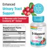 SOLARAY D-Mannose with CranActin Cranberry Extract 1000mg | for Normal, Healthy Urinary Tract Support | with Vitamin C | Non-GMO & Vegan | 120 Count | 2 pk
