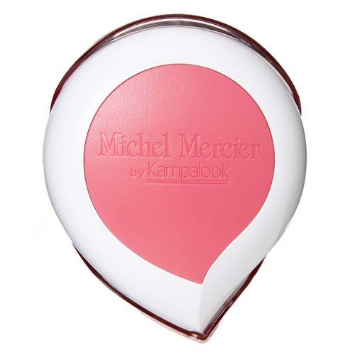 Michel Mercier Travel Hair Brush - Wet Dry Detangling Brush Curly Hair Brush for Women and Men Compact Size for Car, Travel ,Gym (Fine Hair)